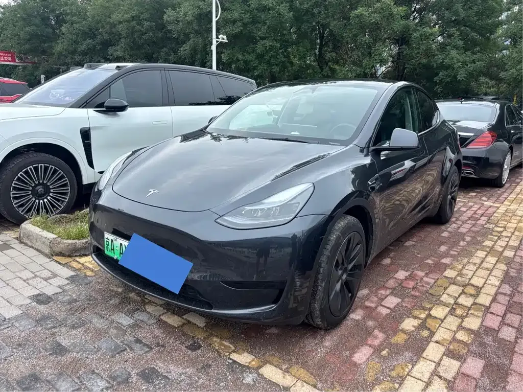 Tesla Model Y — фото 1