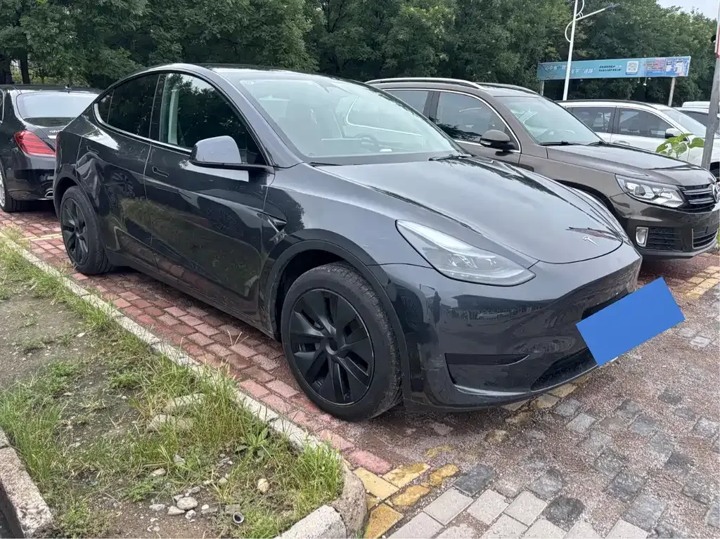 Tesla Model Y — фото 10