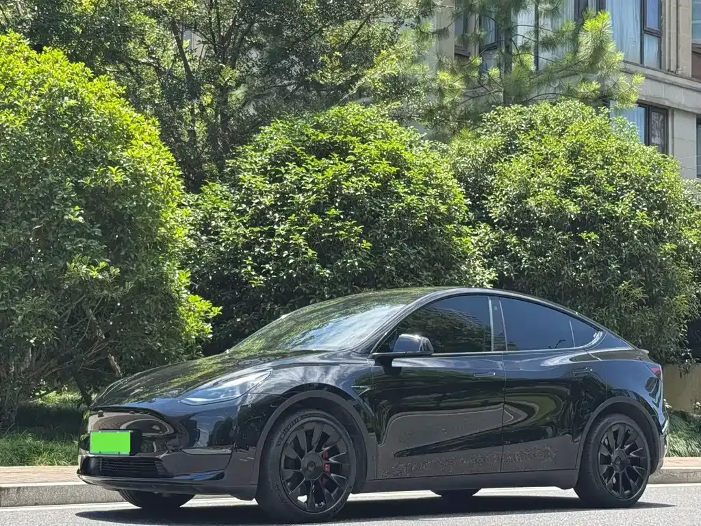Tesla Model Y — фото 1