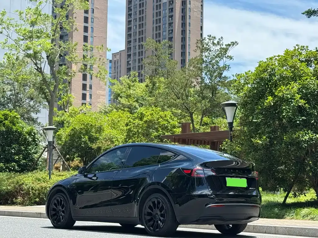 Tesla Model Y — фото 9