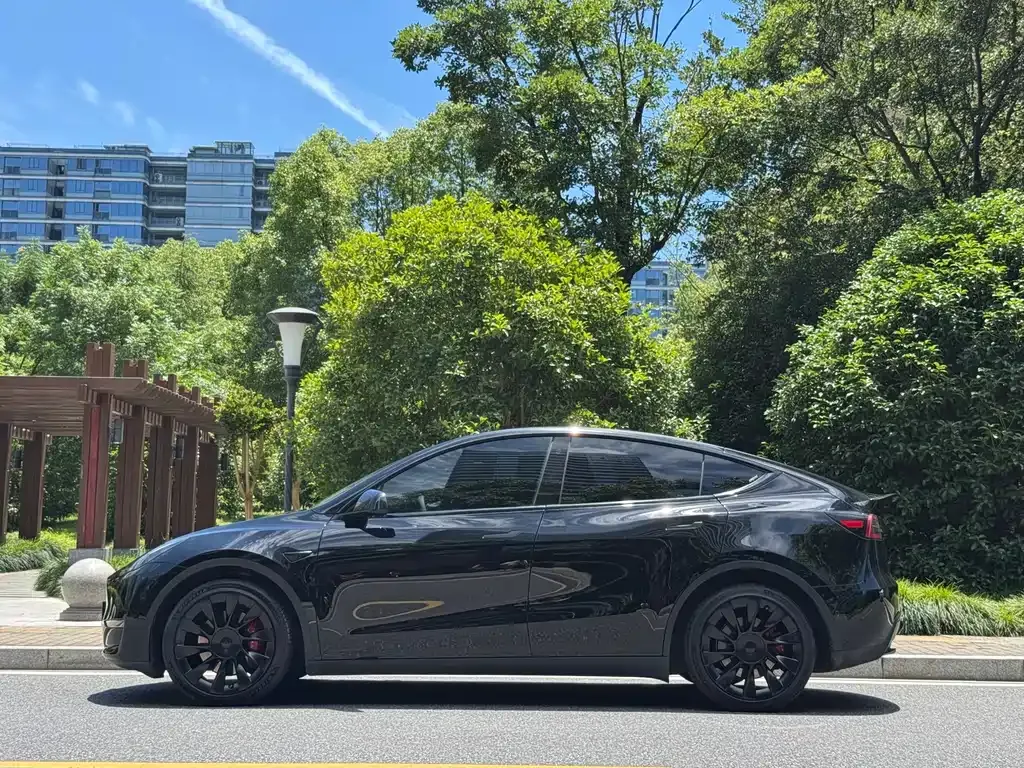 Tesla Model Y — фото 8