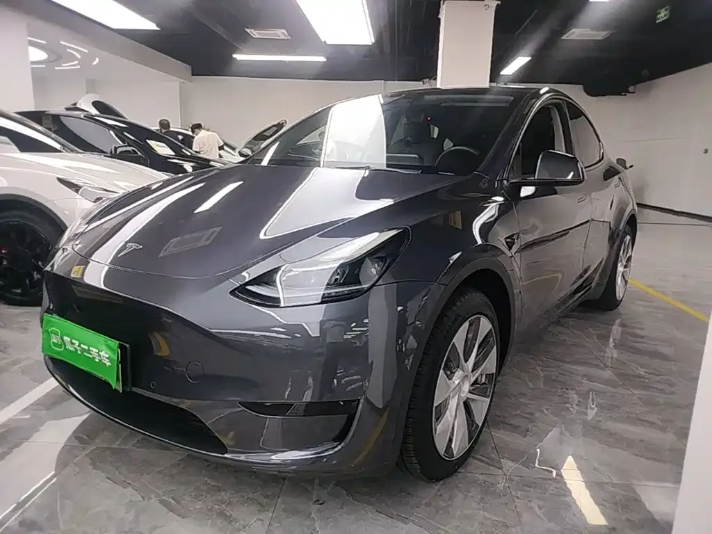 Tesla Model Y — фото 1