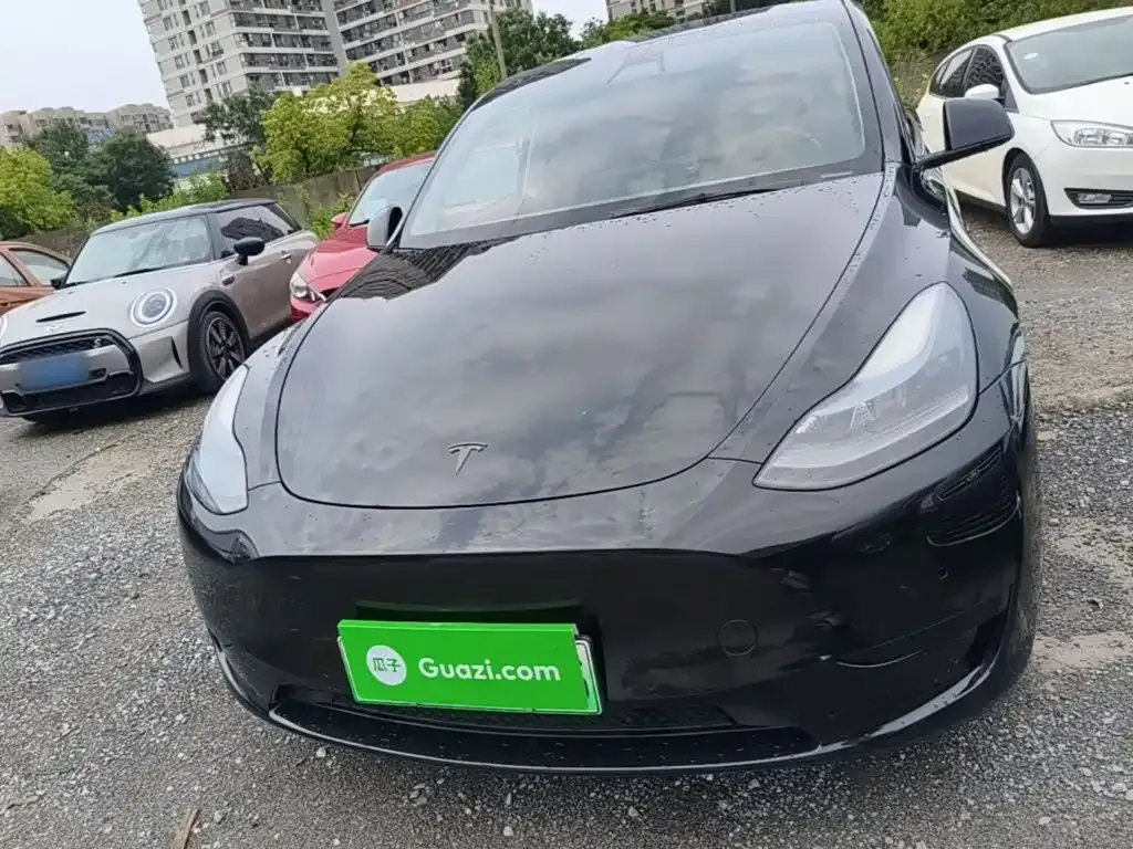 Tesla Model Y — фото 3
