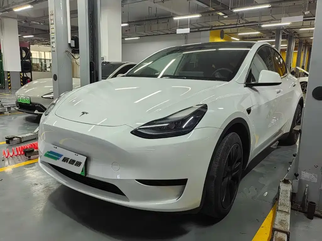 Tesla Model Y — фото 1