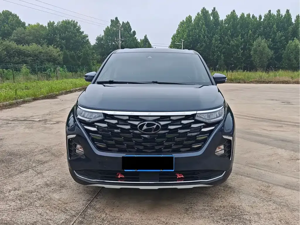 Hyundai Custo — фото 10
