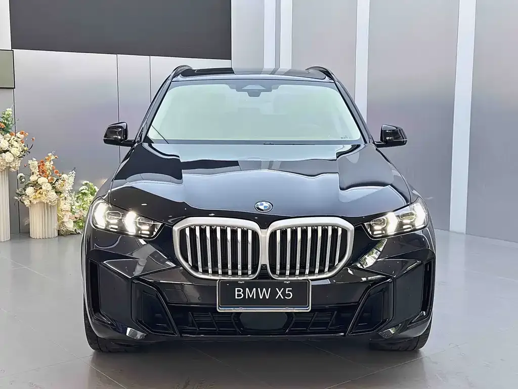 BMW X5 — фото 9