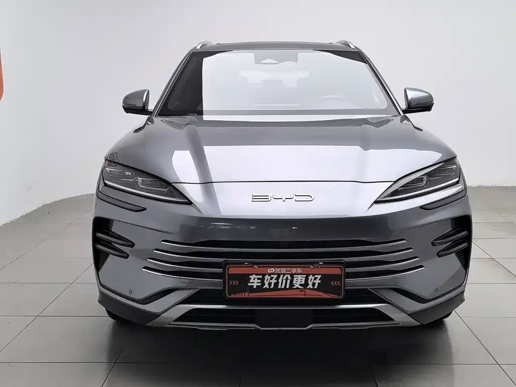 BYD PLUS New Energy 2024 из CN, фото 3