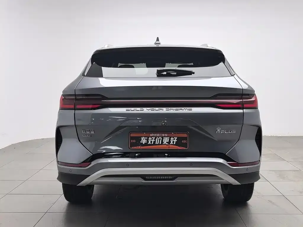 BYD PLUS New Energy 2024 из CN, фото 5