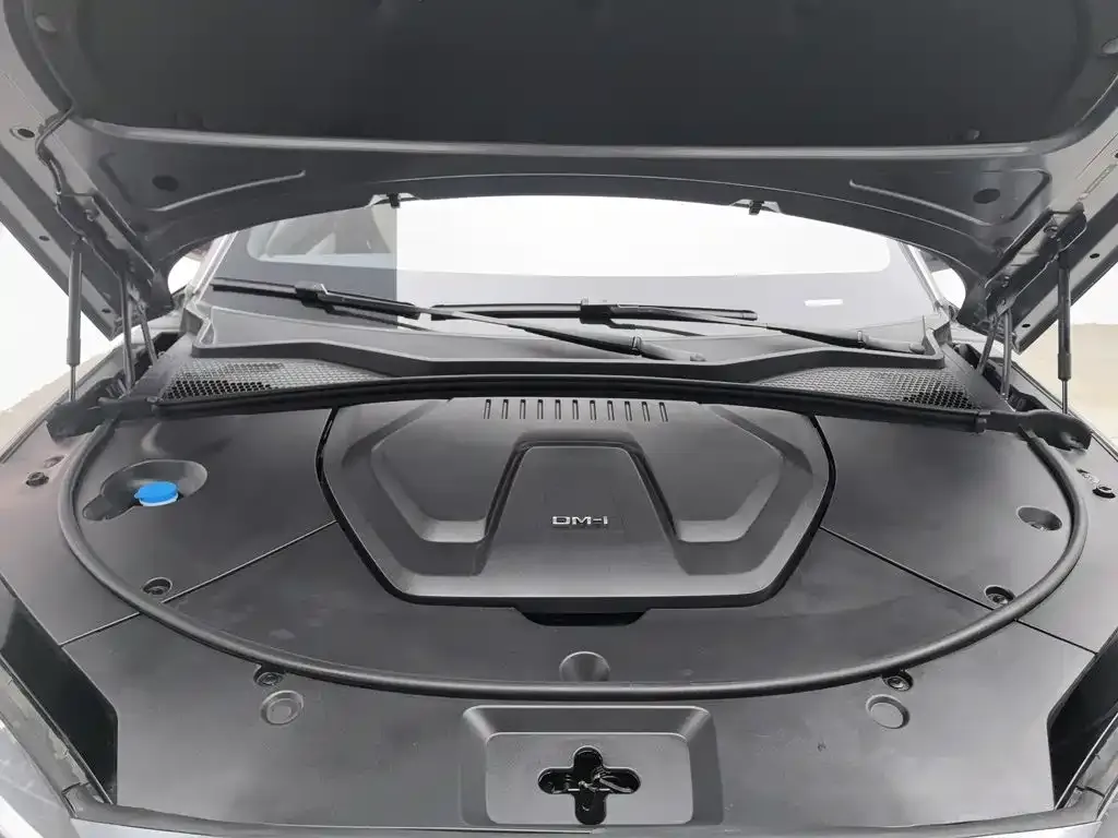 BYD PLUS New Energy 2024 из CN, фото 6