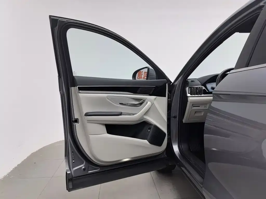 BYD PLUS New Energy 2024 из CN, фото 2