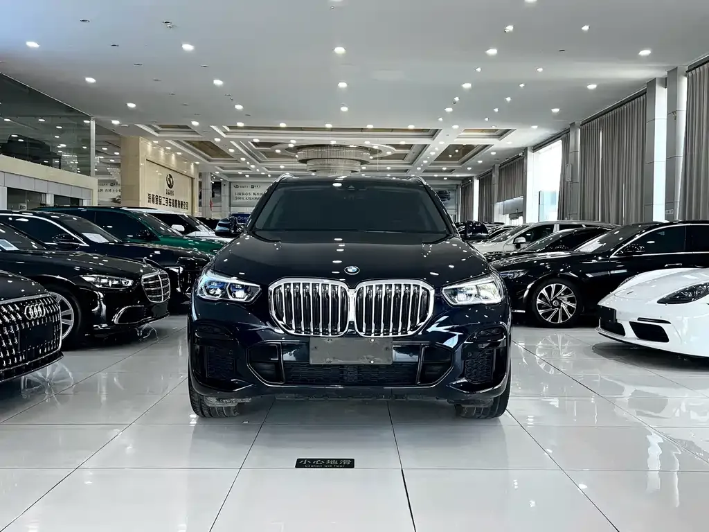 BMW X5 (Import) — фото 2