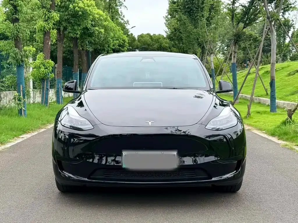 Tesla Model Y — фото 5