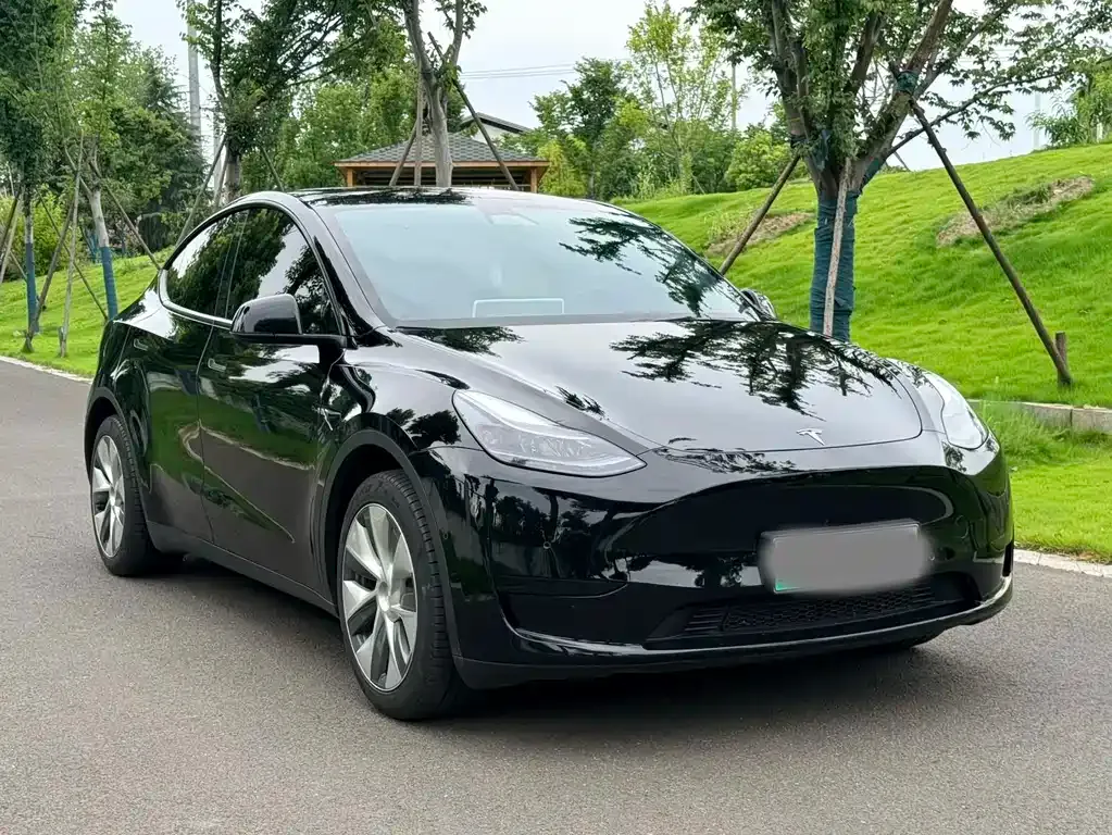 Tesla Model Y — фото 8