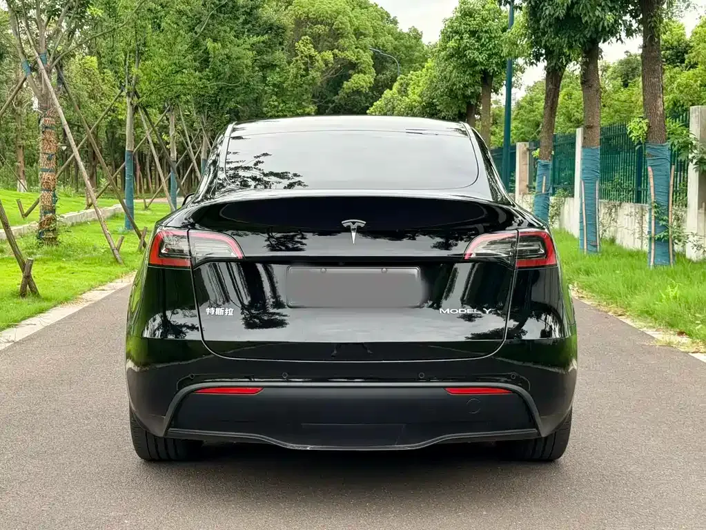 Tesla Model Y — фото 9