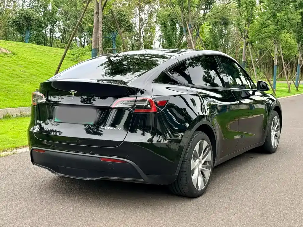 Tesla Model Y — фото 6