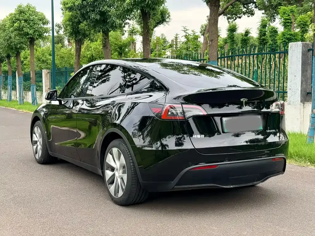 Tesla Model Y — фото 4