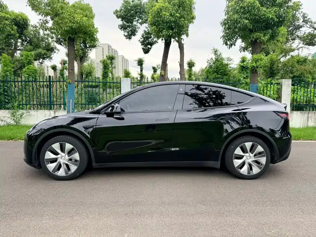 Tesla Model Y — фото 10
