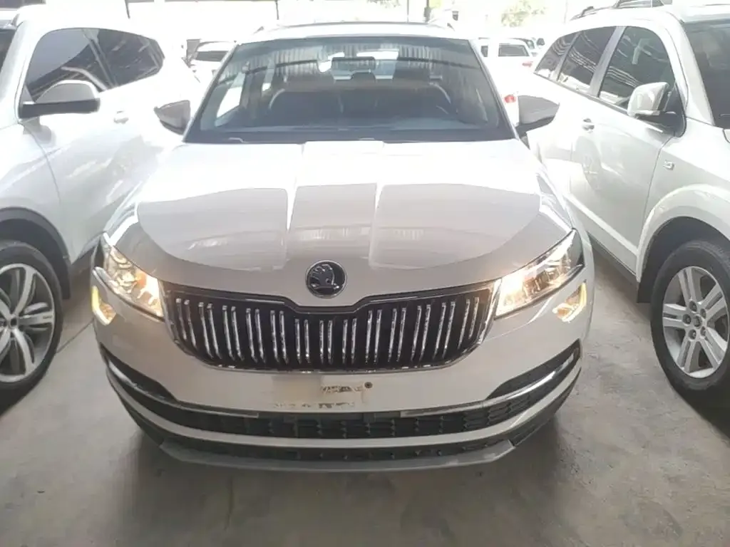 Skoda Karoq 2021 из CN, фото 7
