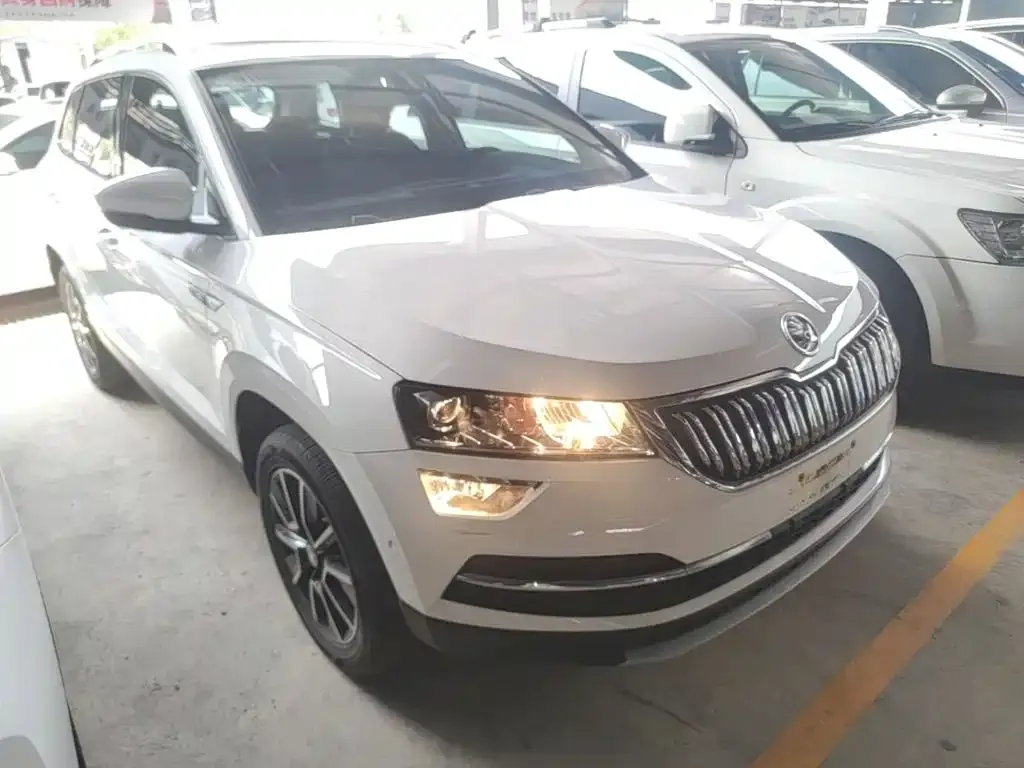 Skoda Karoq 2021 из CN, фото 4