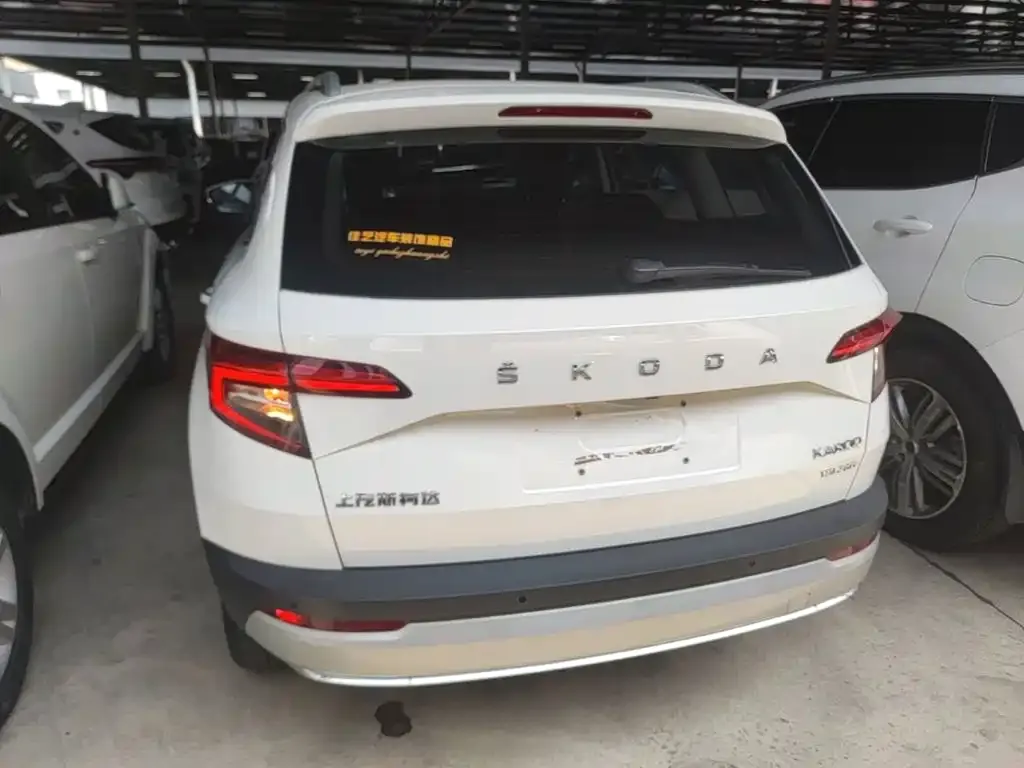 Skoda Karoq 2021 из CN, фото 6