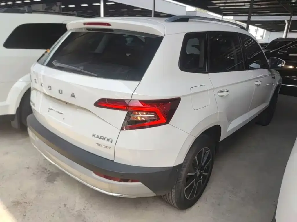 Skoda Karoq 2021 из CN, фото 8