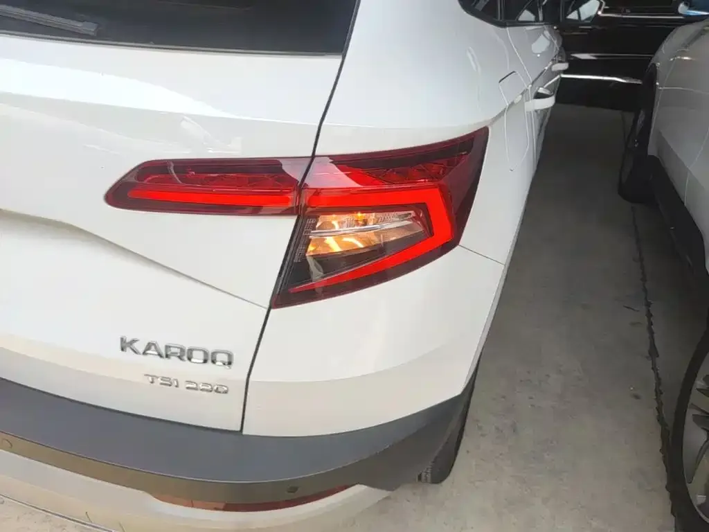 Skoda Karoq 2021 из CN, фото 2