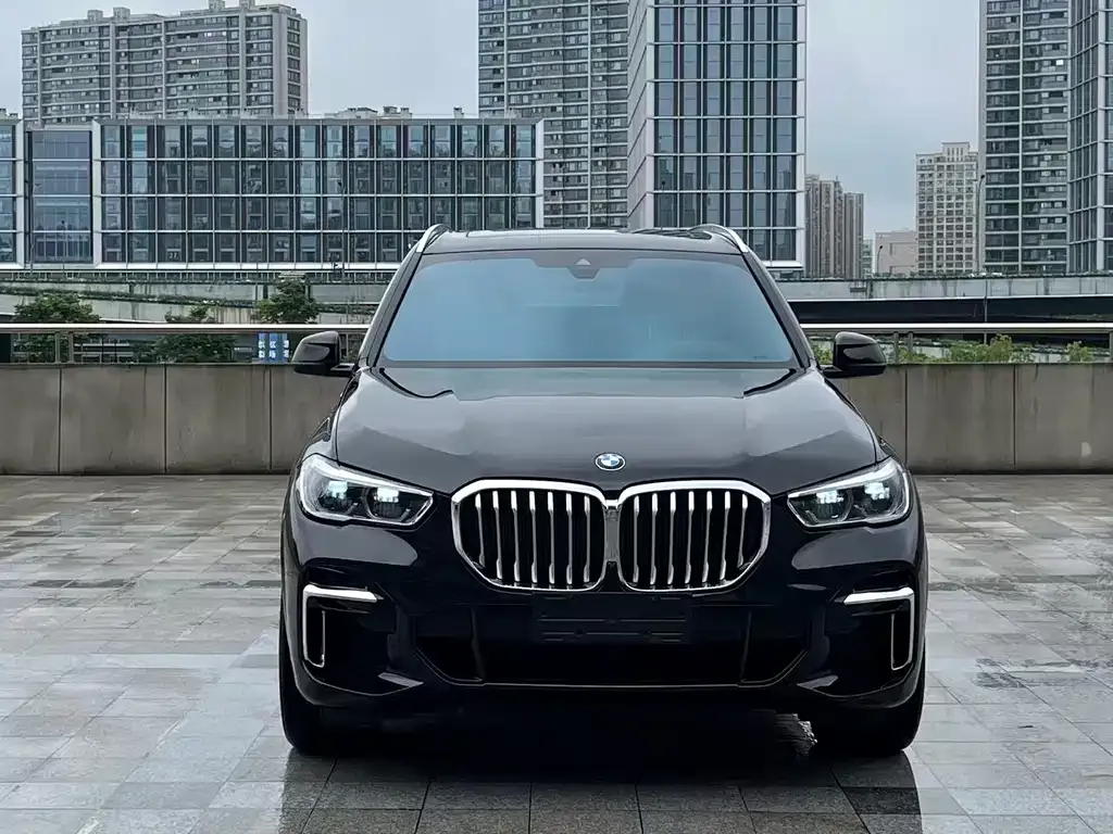 BMW X5 — фото 5