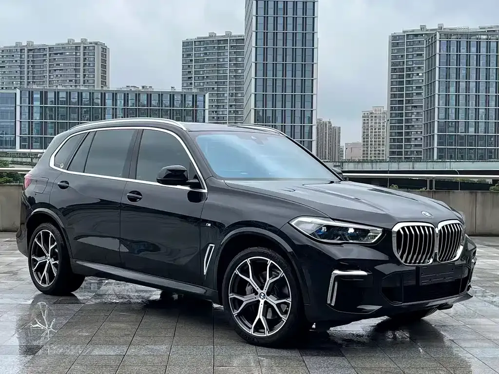 BMW X5 — фото 10