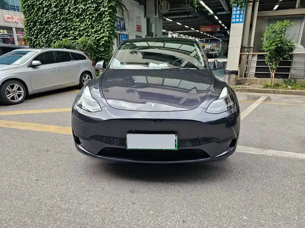 Tesla Model Y — фото 4
