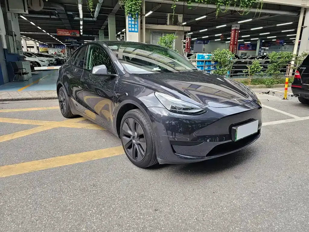 Tesla Model Y — фото 6