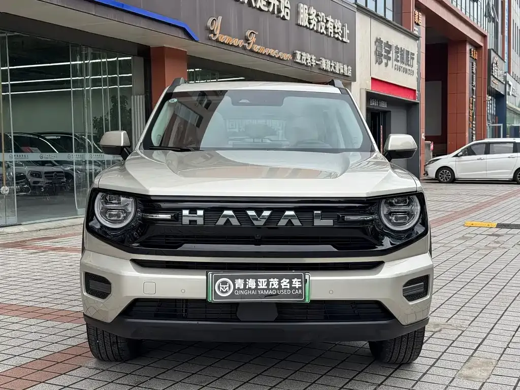 Haval H7 (Big Dog Plus) New Energy — фото 7