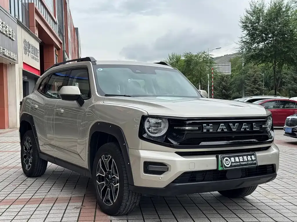 Haval H7 (Big Dog Plus) New Energy — фото 8