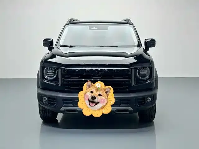 Haval Big Dog 2024 из CN, фото 9