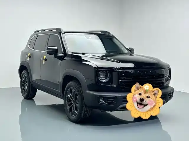 Haval Big Dog 2024 из CN, фото 6