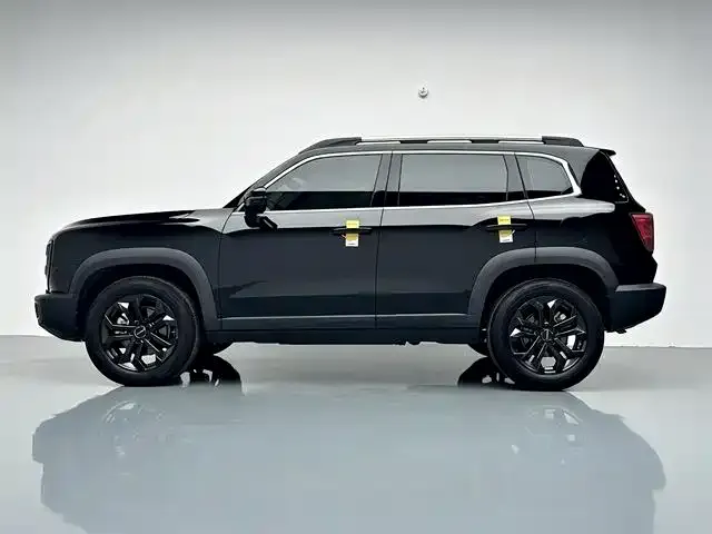 Haval Big Dog 2024 из CN, фото 8