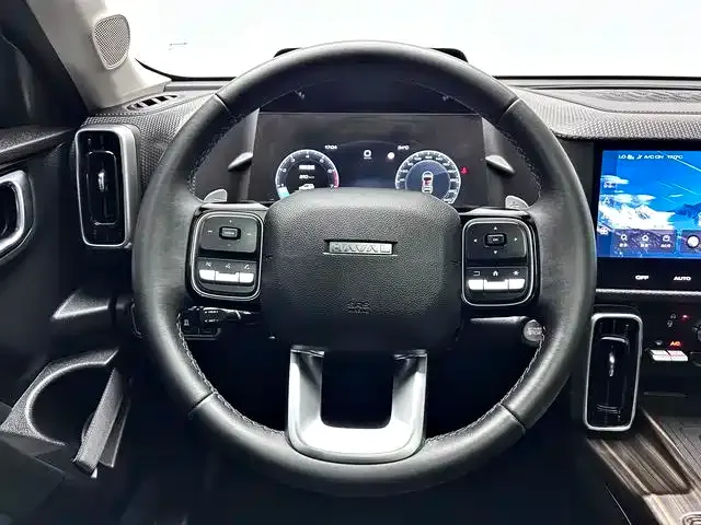 Haval Big Dog 2024 из CN, фото 5