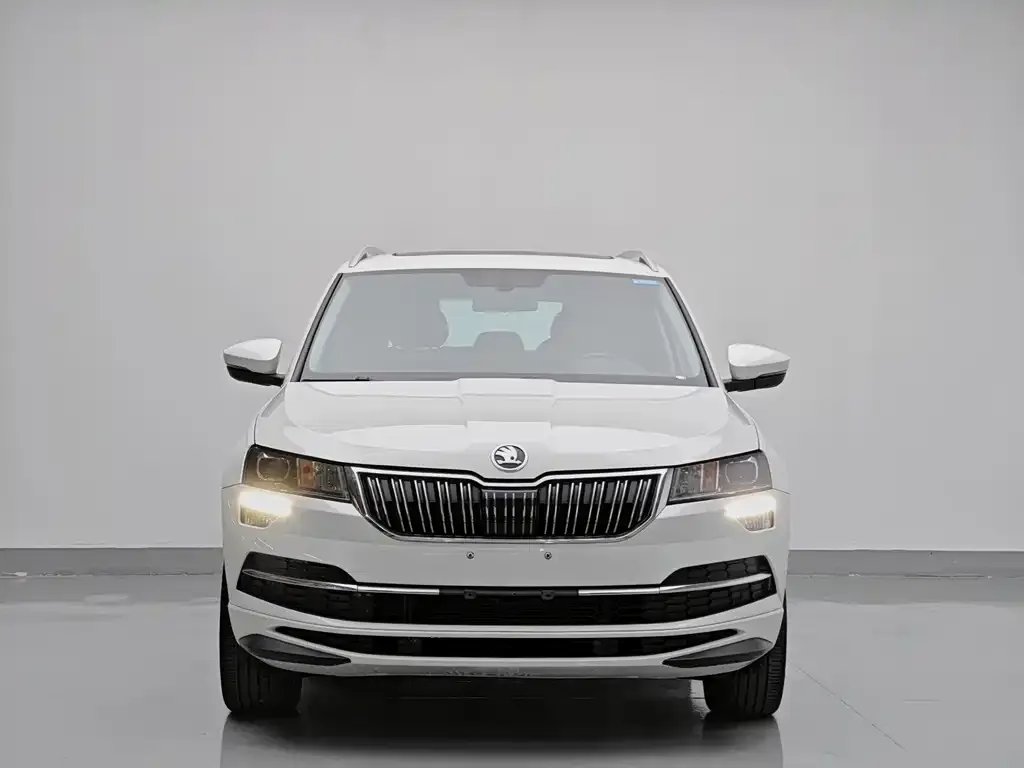 Skoda Karoq — фото 7