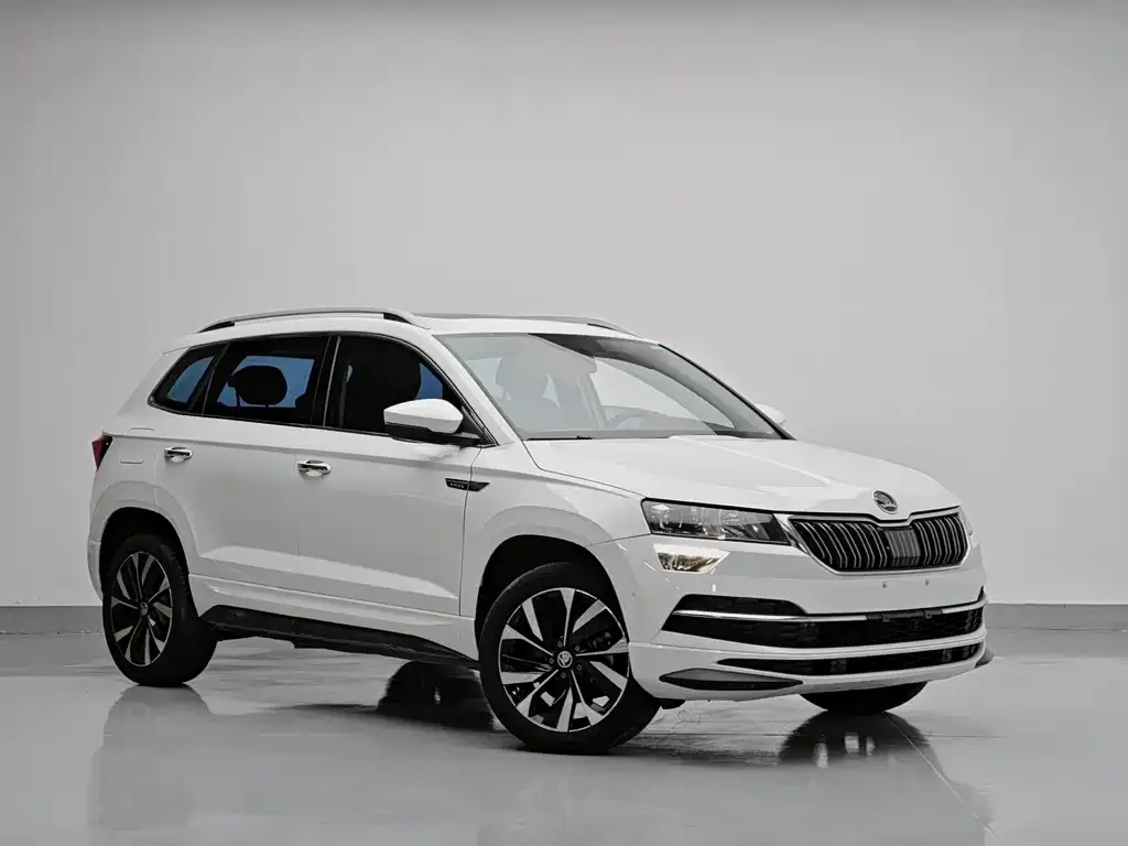 Skoda Karoq — фото 9