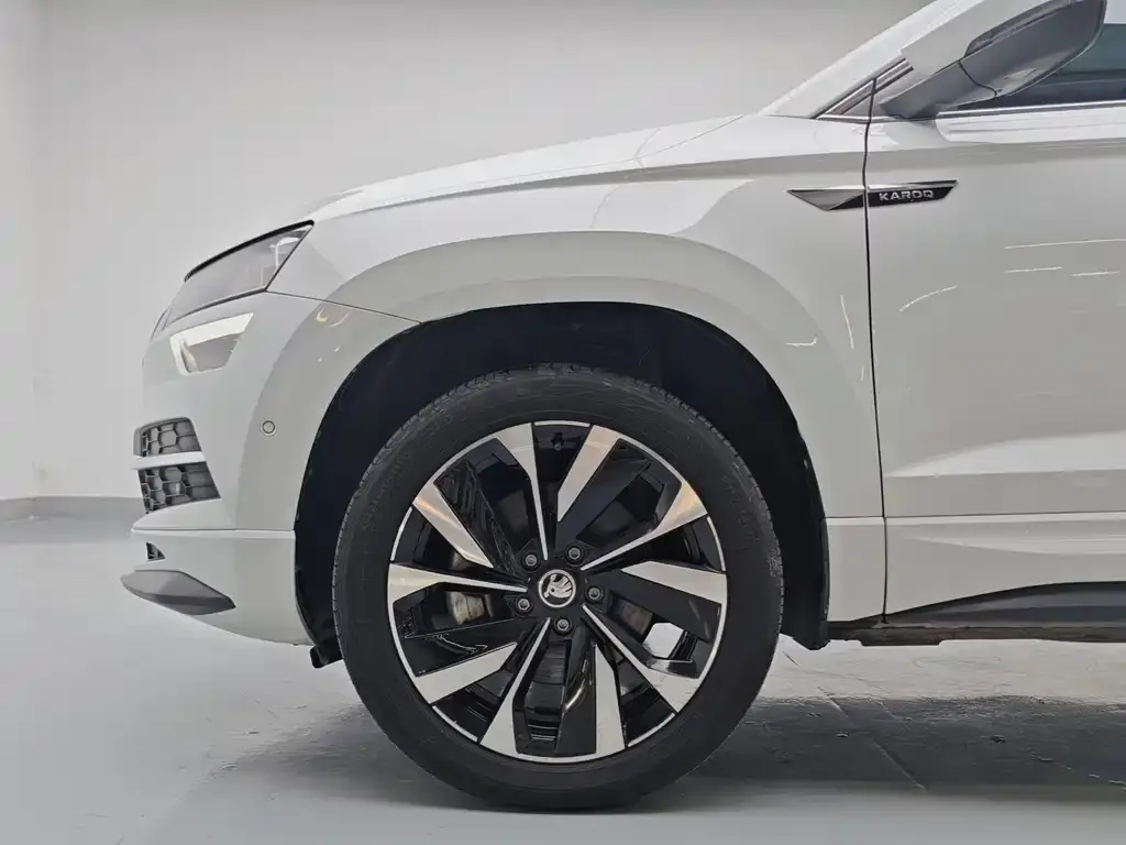 Skoda Karoq — фото 8