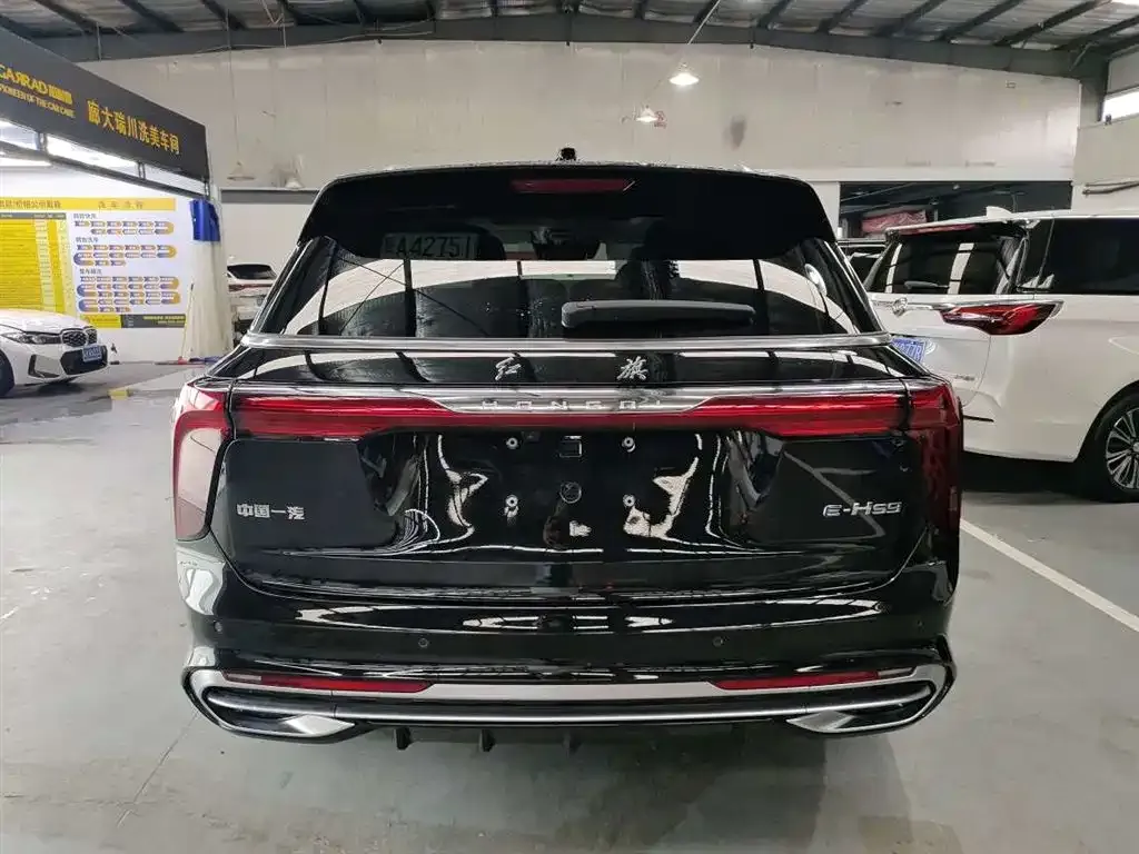 Hongqi E-HS9 — фото 10