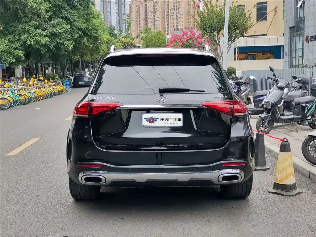 Mercedes-Benz 奔驰GLE(进口) — фото 4