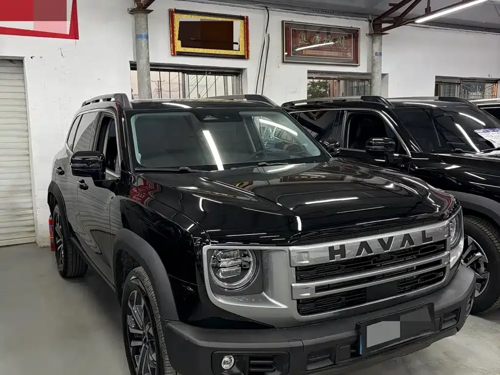 Haval Big Dog 2024 из CN, фото 3