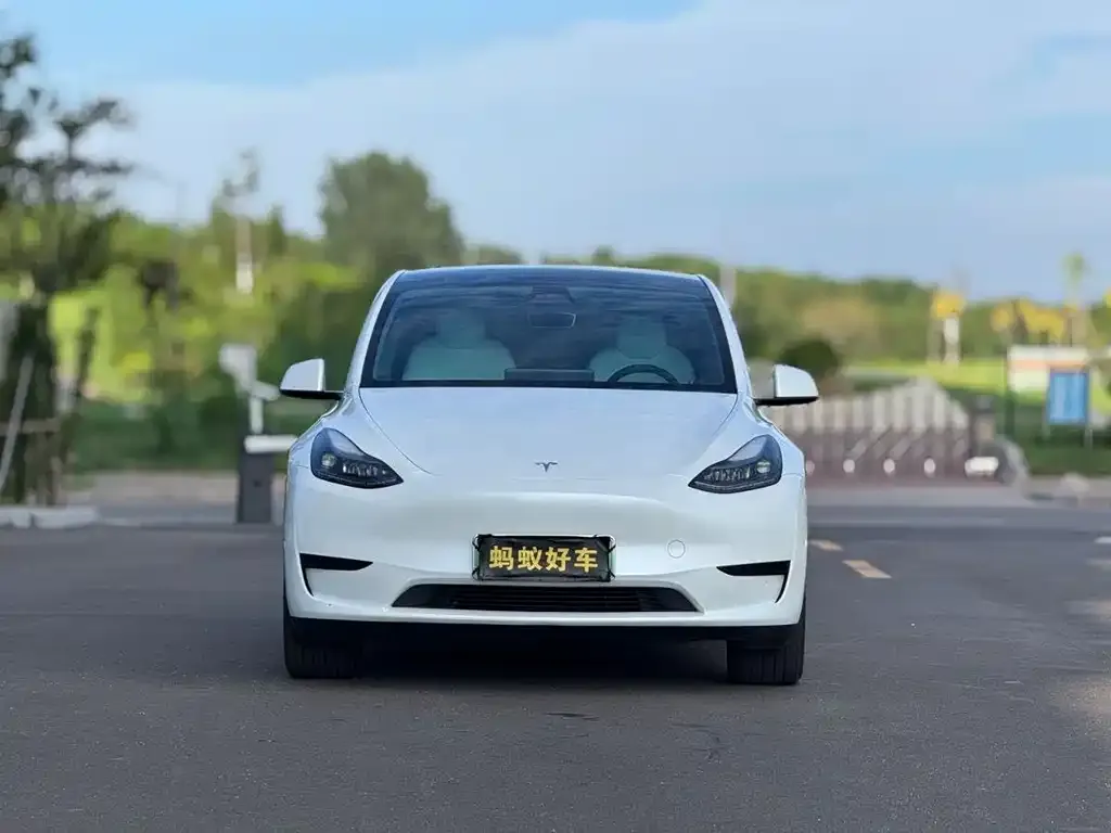 Tesla Model Y — фото 10