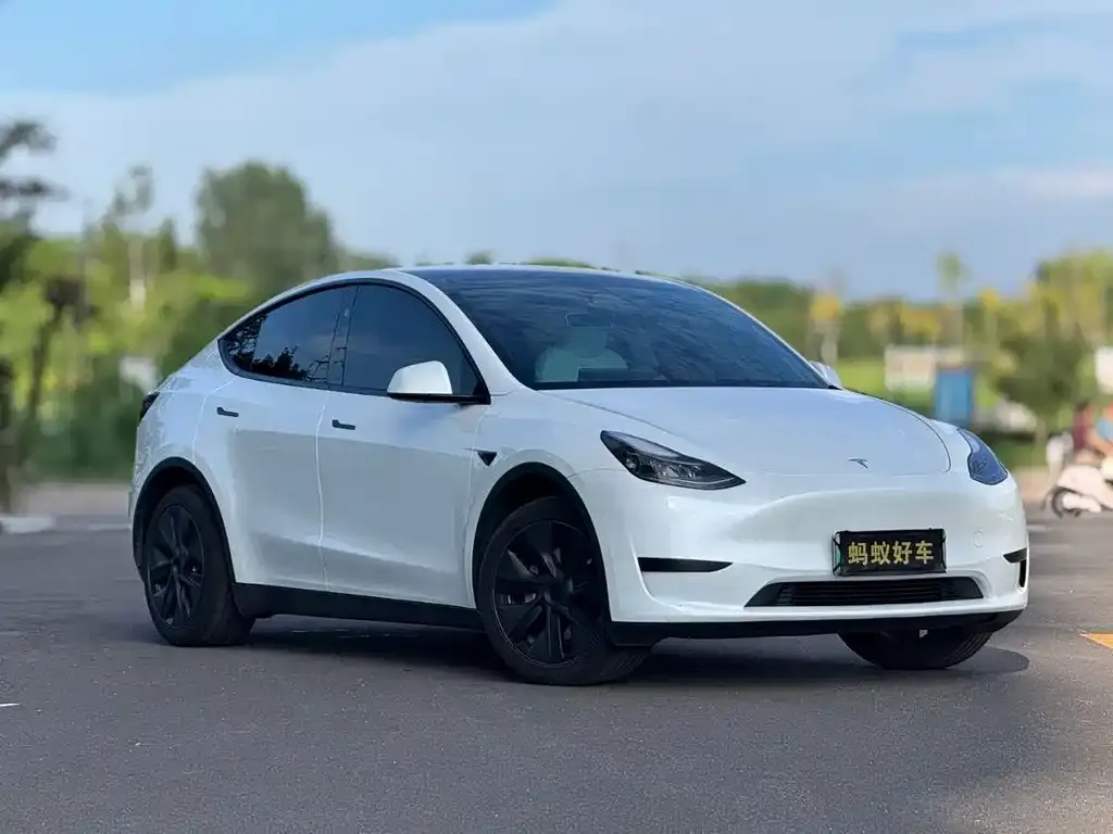Tesla Model Y — фото 2