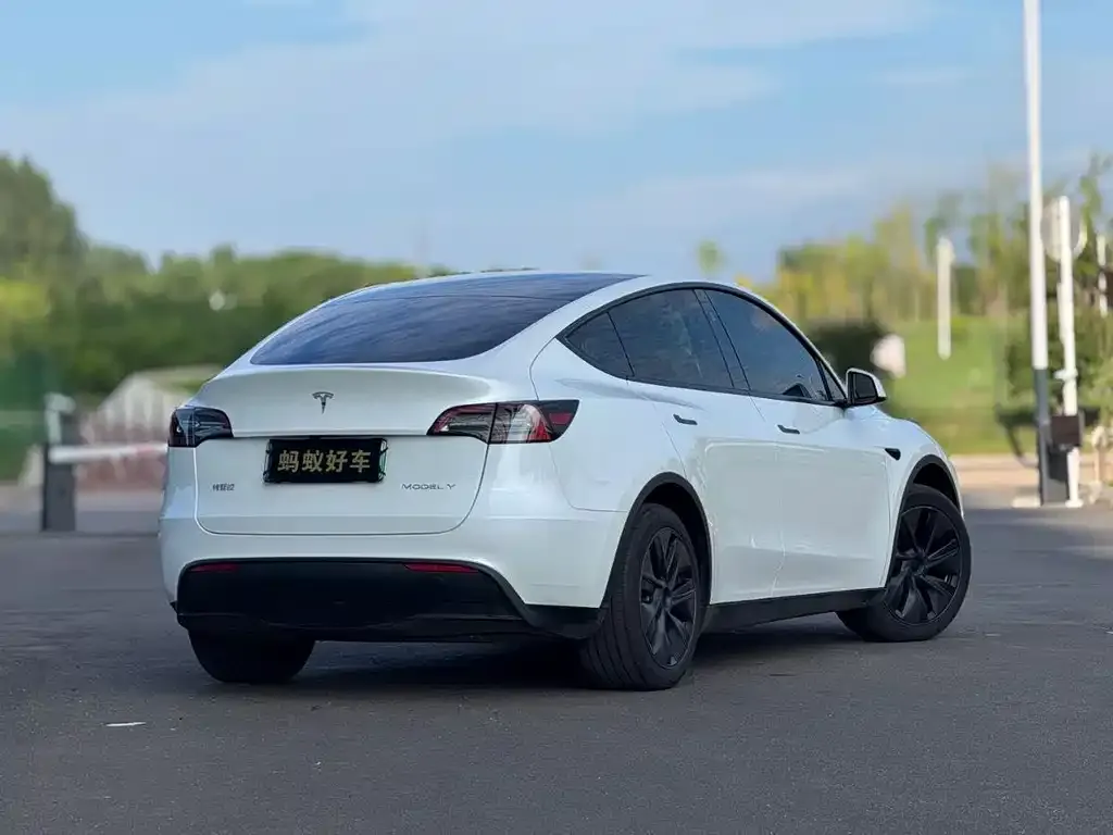 Tesla Model Y — фото 7