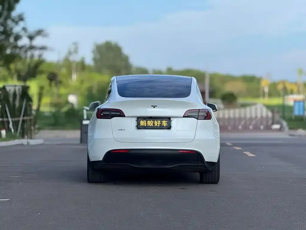 Tesla Model Y — фото 4