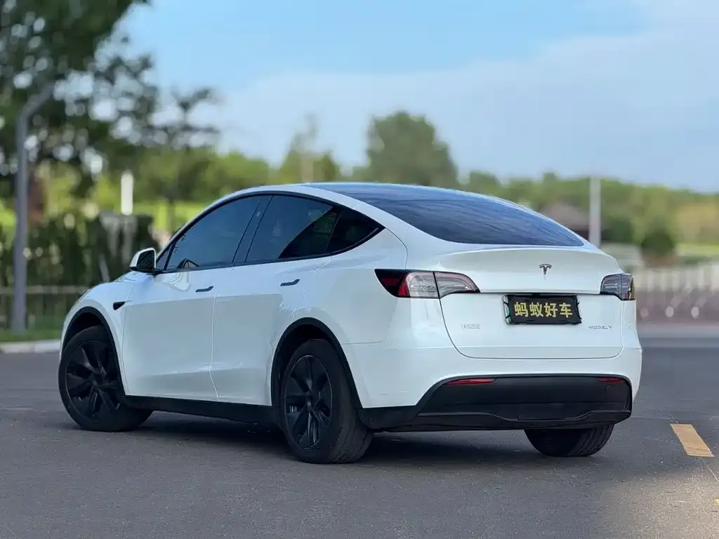 Tesla Model Y — фото 8