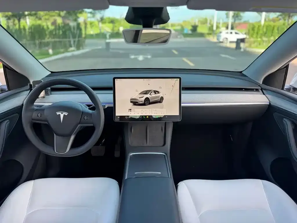 Tesla Model Y — фото 6