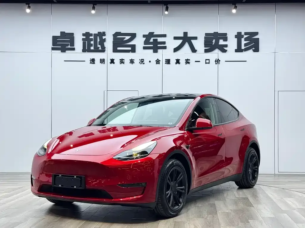 Tesla Model Y — фото 1
