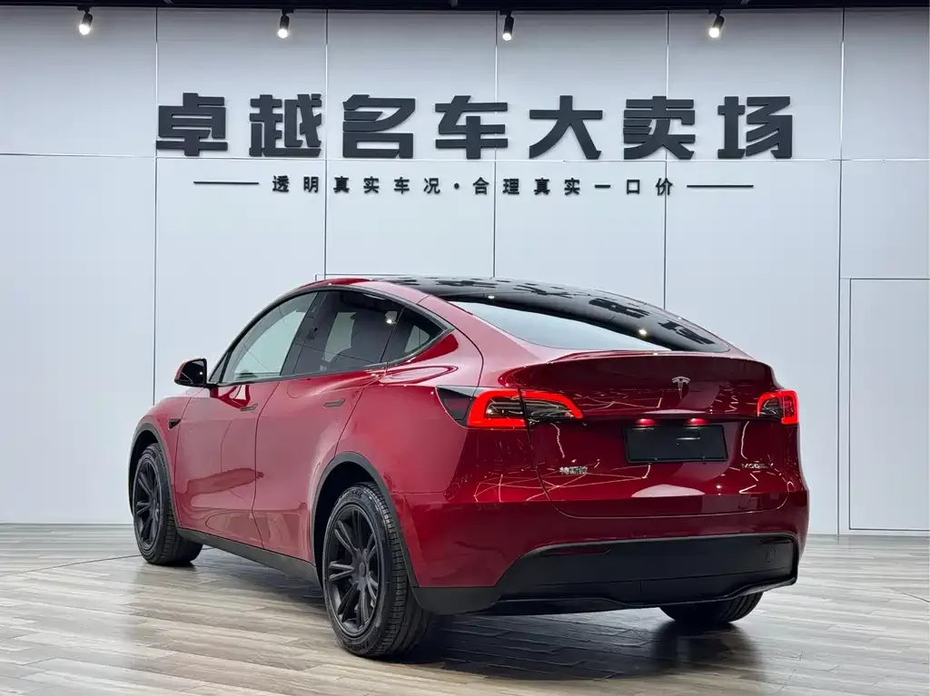 Tesla Model Y — фото 10